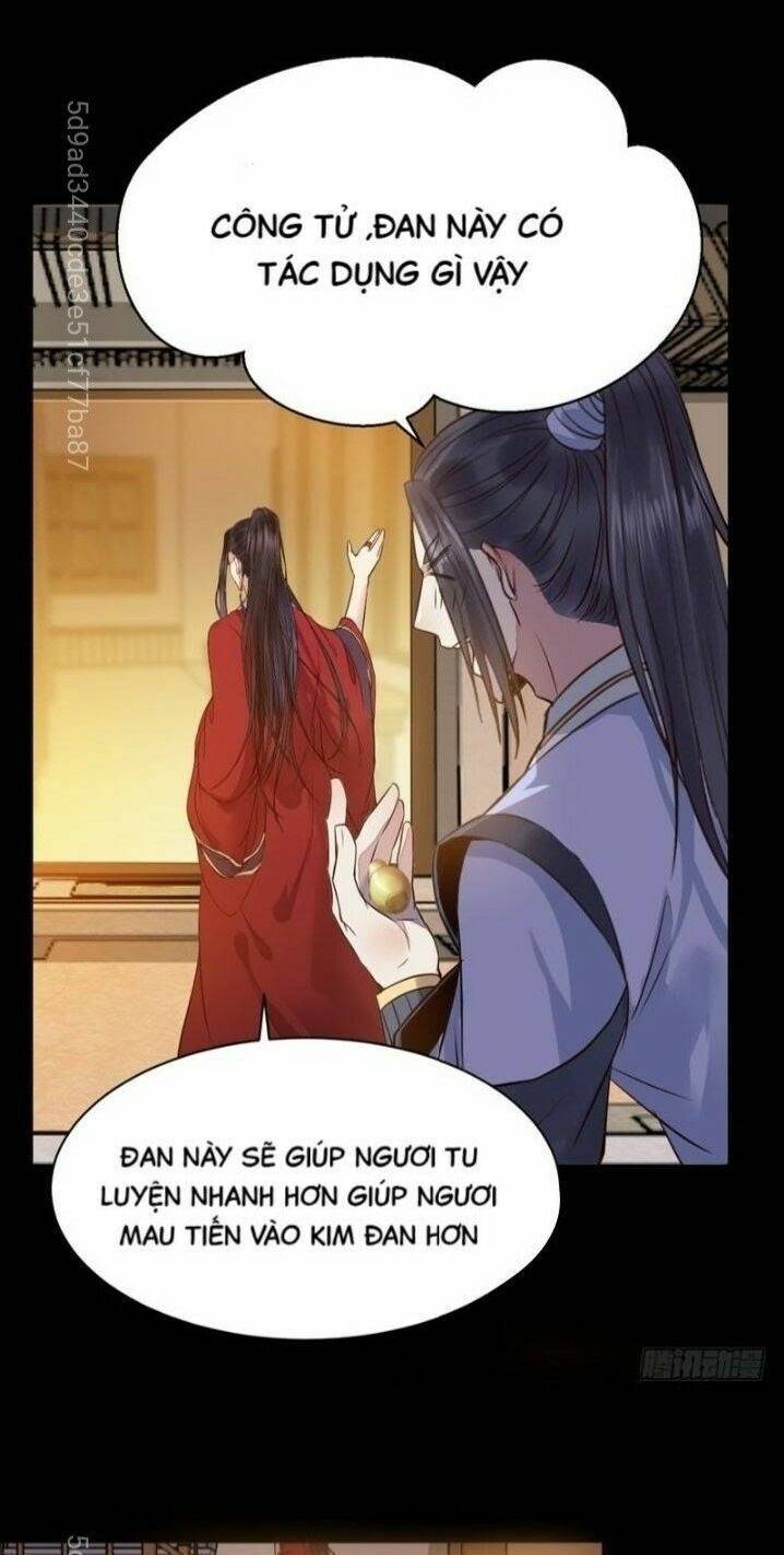 Tuyệt Sắc Quyến Rũ: Quỷ Y Chí Tôn: Chapter 204