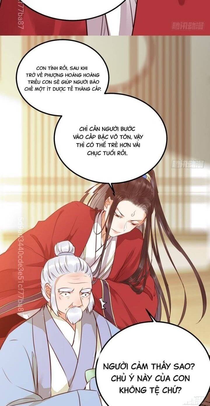 Tuyệt Sắc Quyến Rũ: Quỷ Y Chí Tôn: Chapter 215