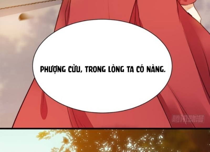 Tuyệt Sắc Quyến Rũ: Quỷ Y Chí Tôn: Chapter 217