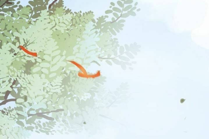 Tuyệt Sắc Quyến Rũ: Quỷ Y Chí Tôn: Chapter 221