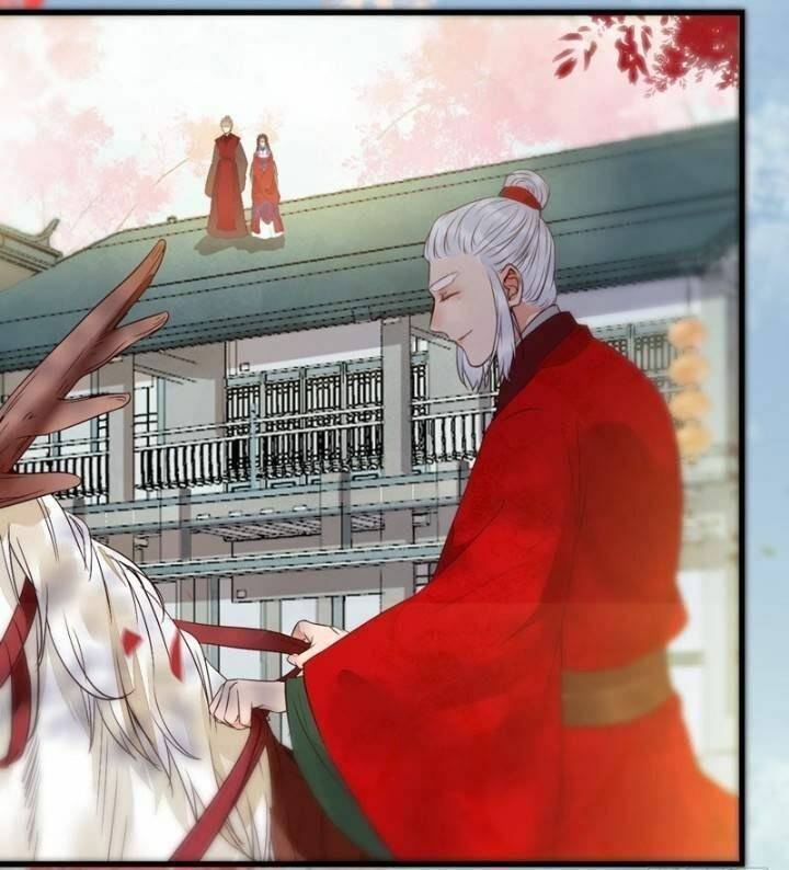 Tuyệt Sắc Quyến Rũ: Quỷ Y Chí Tôn: Chapter 227