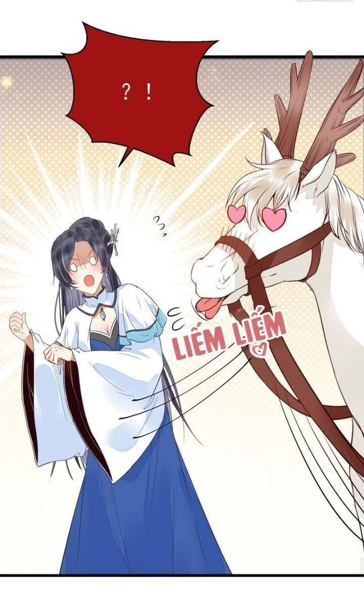 Tuyệt Sắc Quyến Rũ: Quỷ Y Chí Tôn: Chapter 230