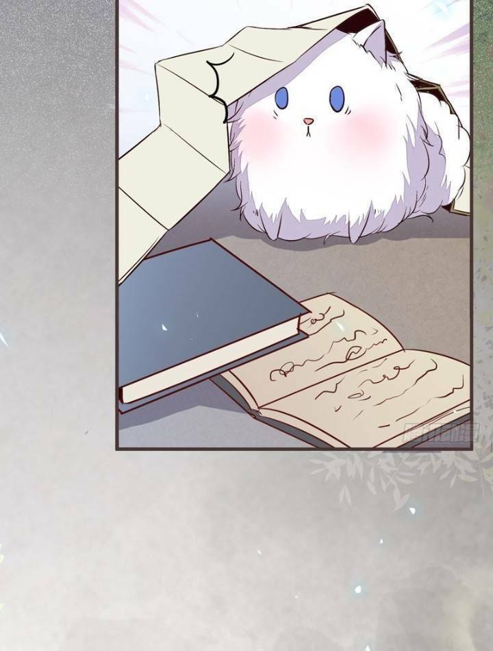 Tuyệt Sắc Quyến Rũ: Quỷ Y Chí Tôn: Chapter 231