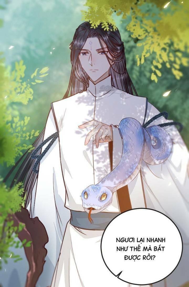 Tuyệt Sắc Quyến Rũ: Quỷ Y Chí Tôn: Chapter 243