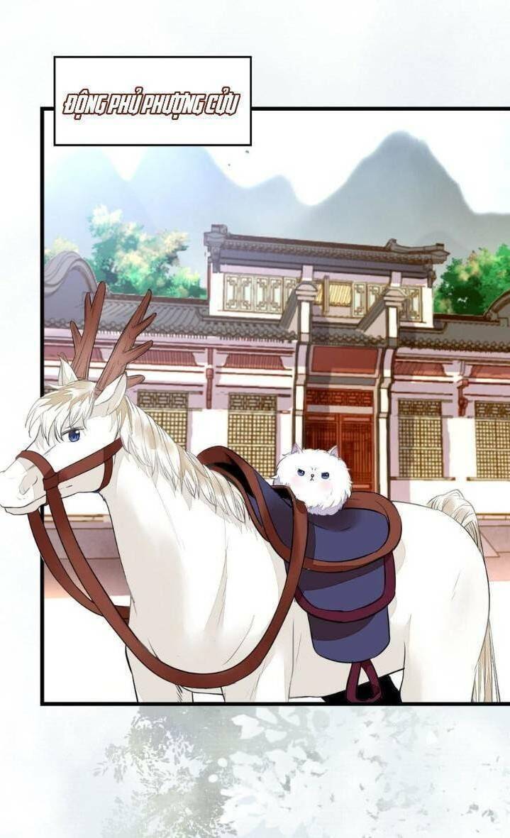 Tuyệt Sắc Quyến Rũ: Quỷ Y Chí Tôn: Chapter 250