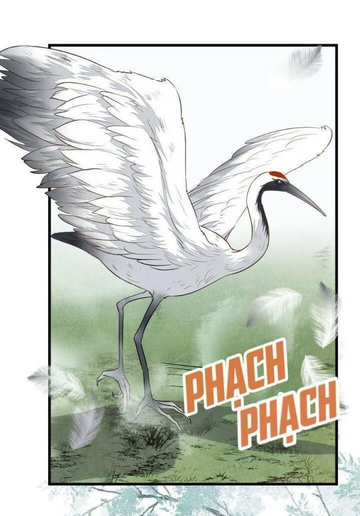 Tuyệt Sắc Quyến Rũ: Quỷ Y Chí Tôn: Chapter 251