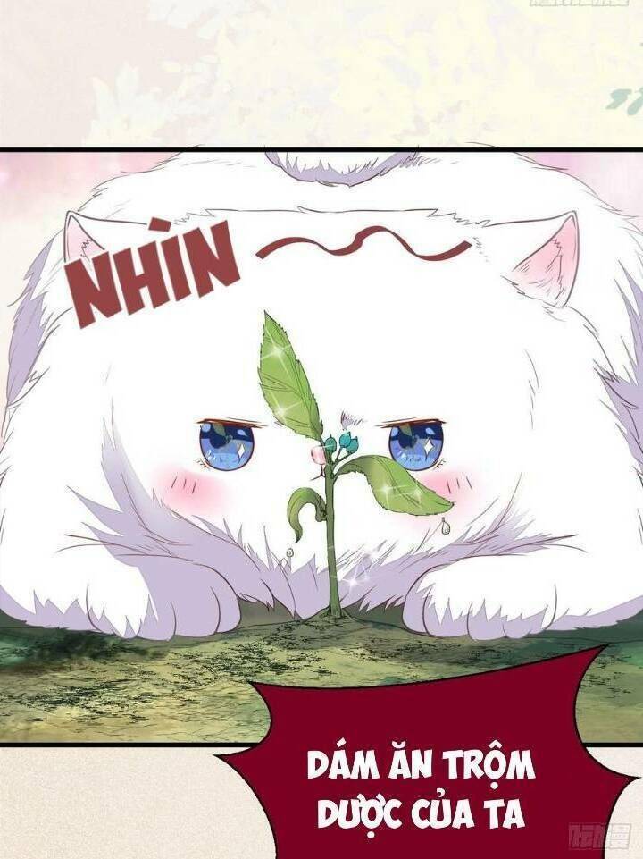 Tuyệt Sắc Quyến Rũ: Quỷ Y Chí Tôn: Chapter 253