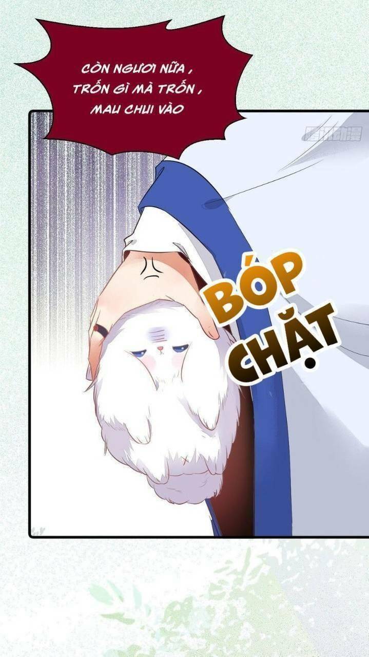 Tuyệt Sắc Quyến Rũ: Quỷ Y Chí Tôn: Chapter 260