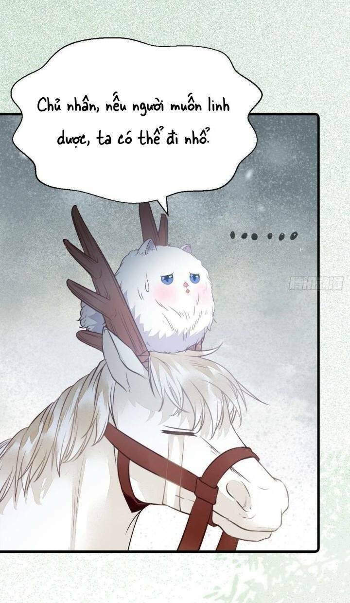 Tuyệt Sắc Quyến Rũ: Quỷ Y Chí Tôn: Chapter 260