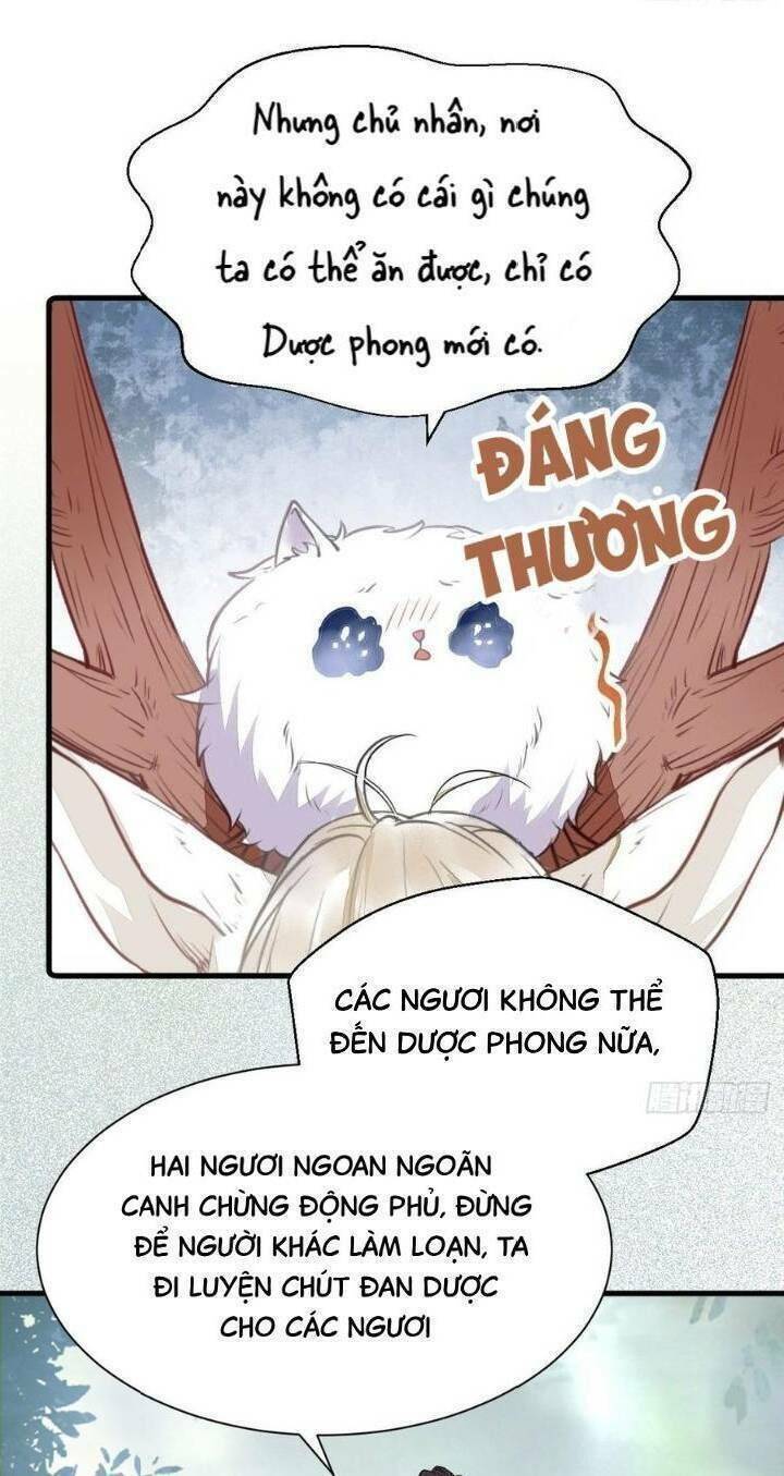 Tuyệt Sắc Quyến Rũ: Quỷ Y Chí Tôn: Chapter 260