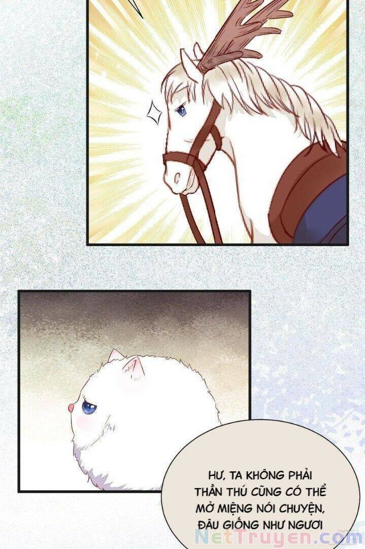 Tuyệt Sắc Quyến Rũ: Quỷ Y Chí Tôn: Chapter 263