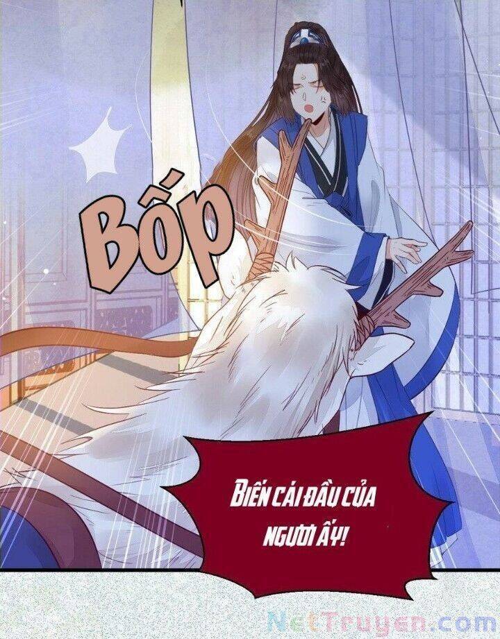 Tuyệt Sắc Quyến Rũ: Quỷ Y Chí Tôn: Chapter 263