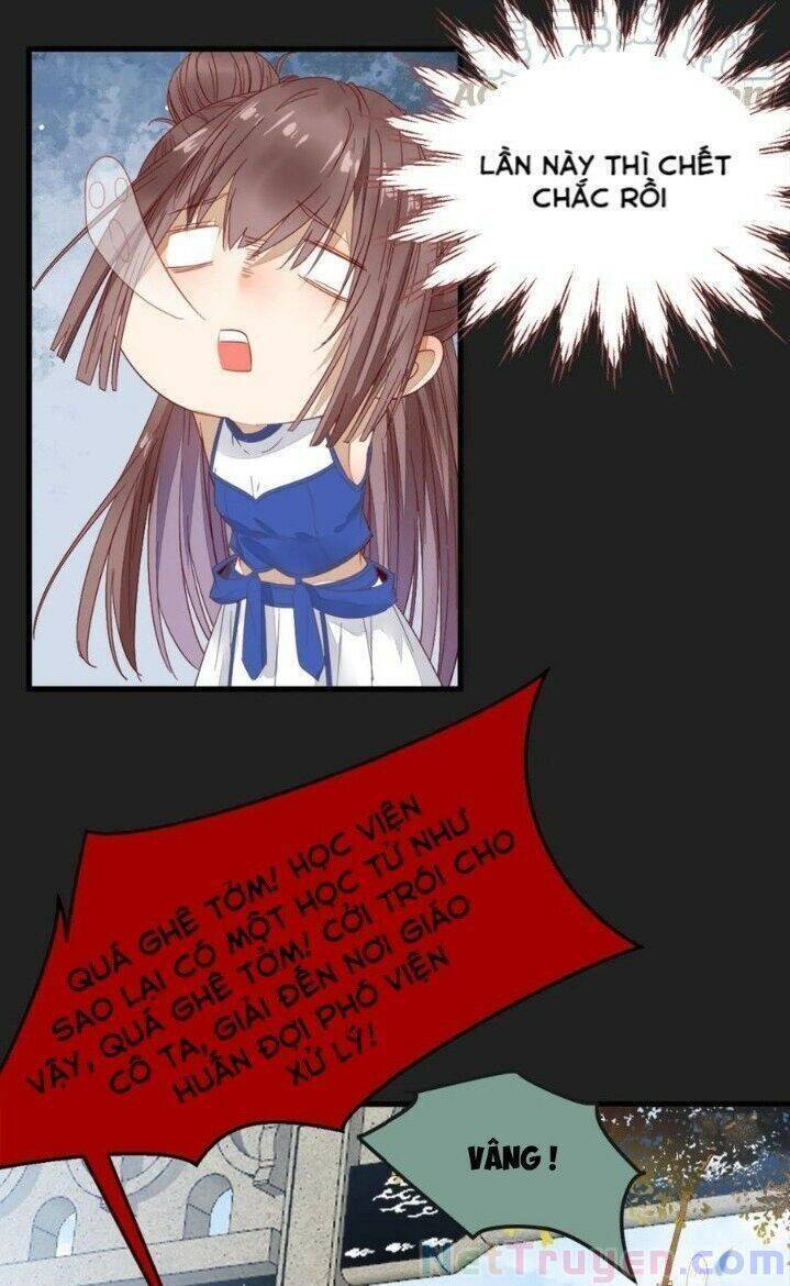 Tuyệt Sắc Quyến Rũ: Quỷ Y Chí Tôn: Chapter 264