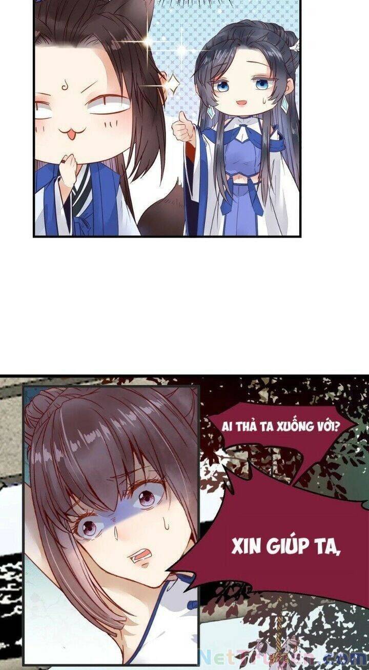 Tuyệt Sắc Quyến Rũ: Quỷ Y Chí Tôn: Chapter 264