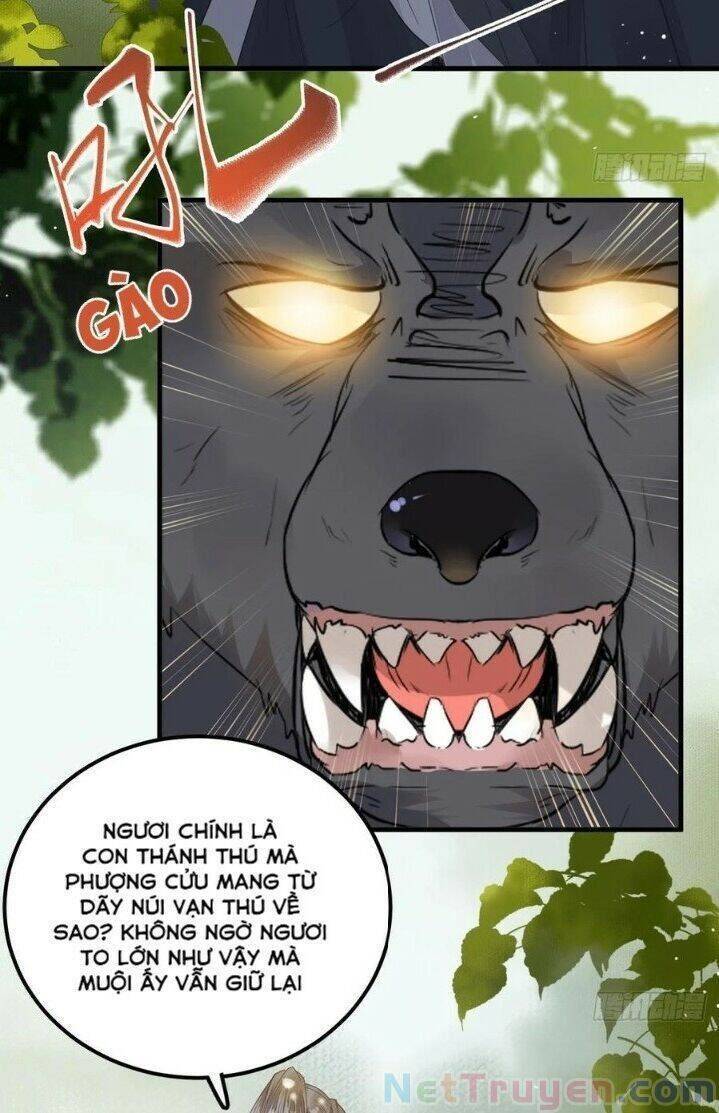 Tuyệt Sắc Quyến Rũ: Quỷ Y Chí Tôn: Chapter 265