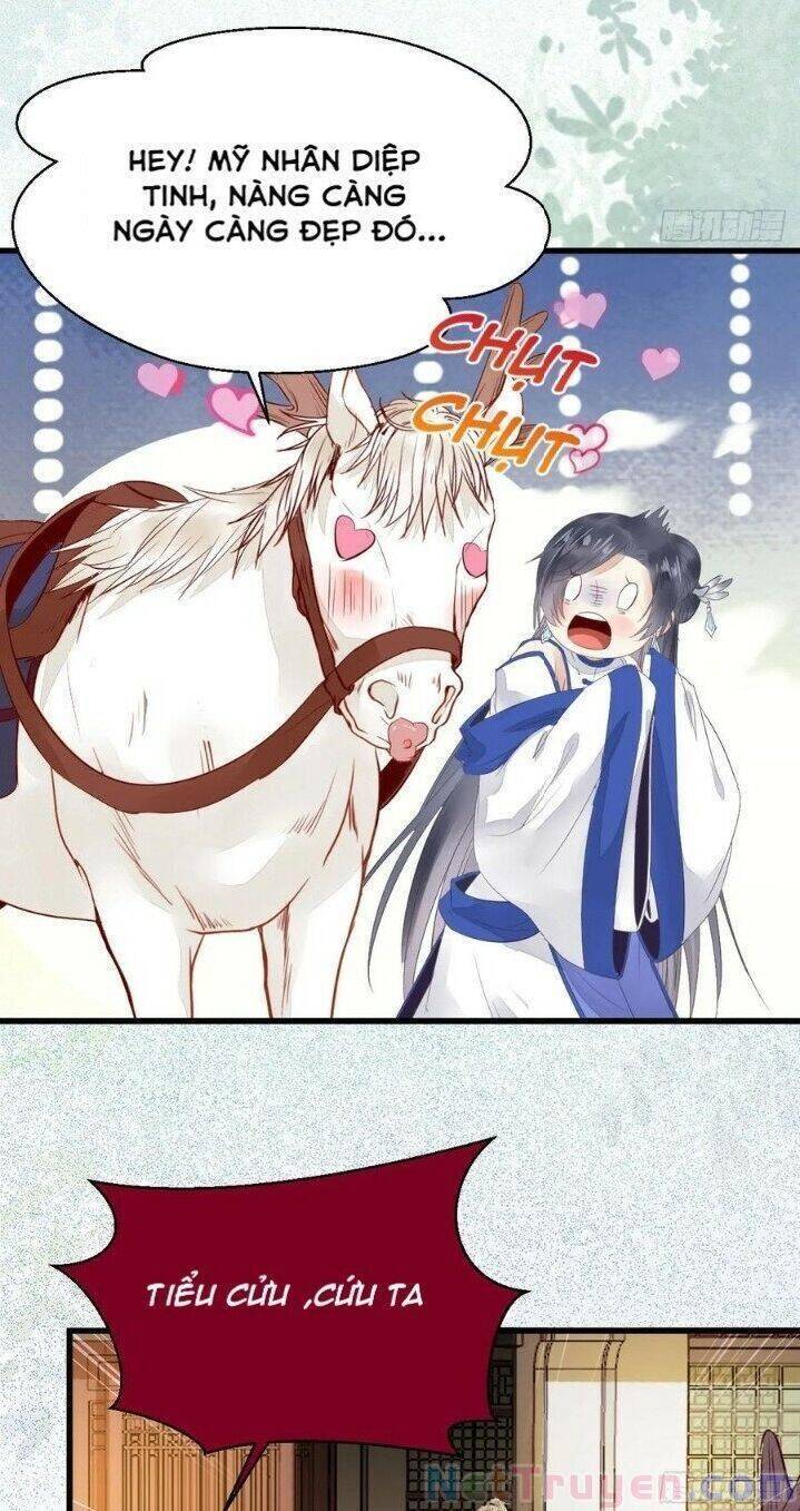 Tuyệt Sắc Quyến Rũ: Quỷ Y Chí Tôn: Chapter 265