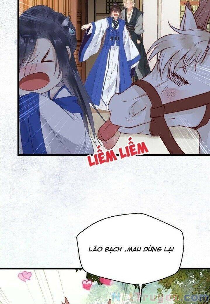 Tuyệt Sắc Quyến Rũ: Quỷ Y Chí Tôn: Chapter 265