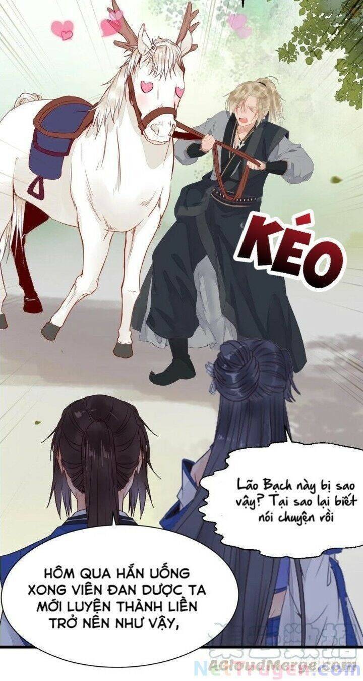 Tuyệt Sắc Quyến Rũ: Quỷ Y Chí Tôn: Chapter 265