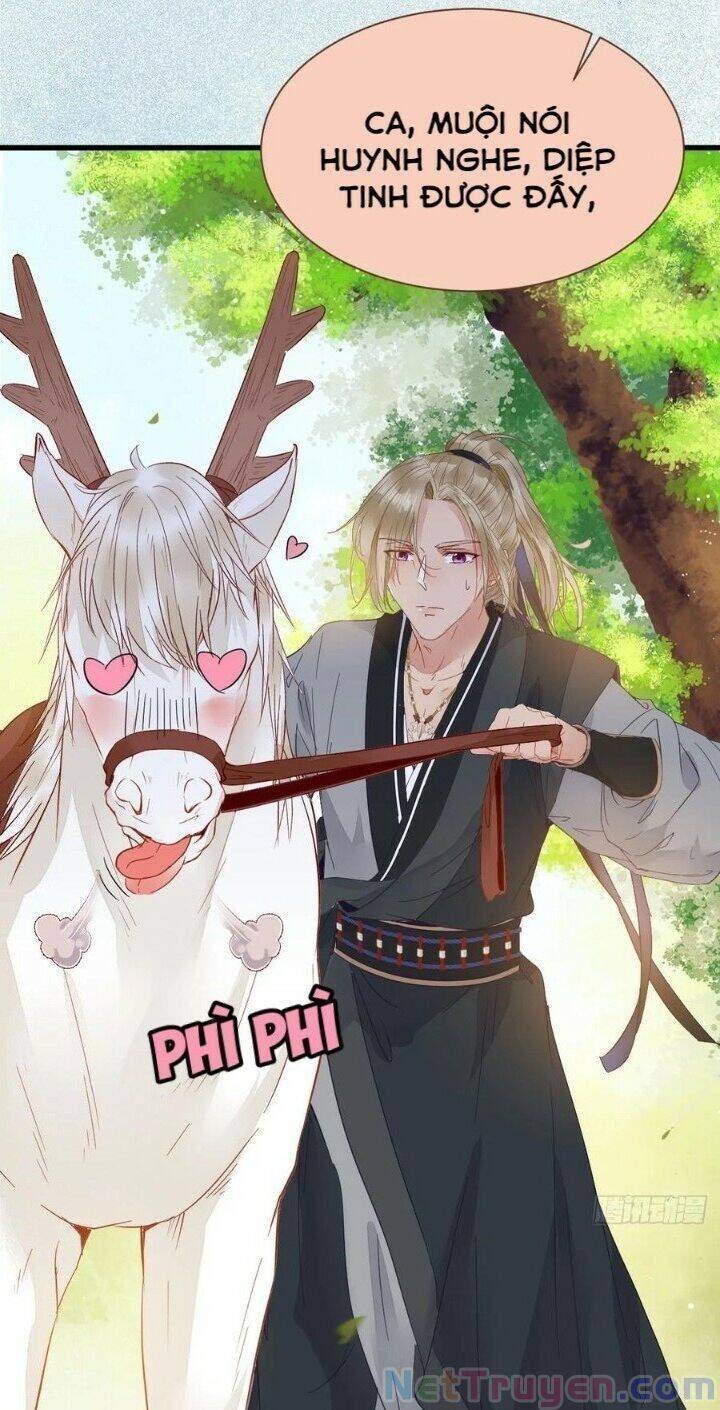 Tuyệt Sắc Quyến Rũ: Quỷ Y Chí Tôn: Chapter 265