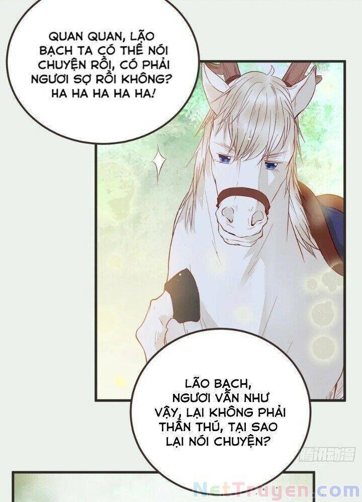 Tuyệt Sắc Quyến Rũ: Quỷ Y Chí Tôn: Chapter 265