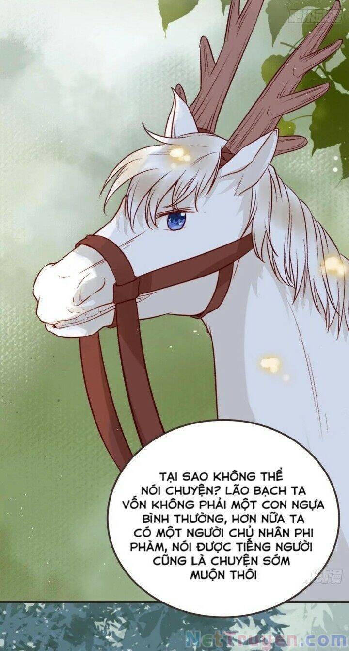 Tuyệt Sắc Quyến Rũ: Quỷ Y Chí Tôn: Chapter 265