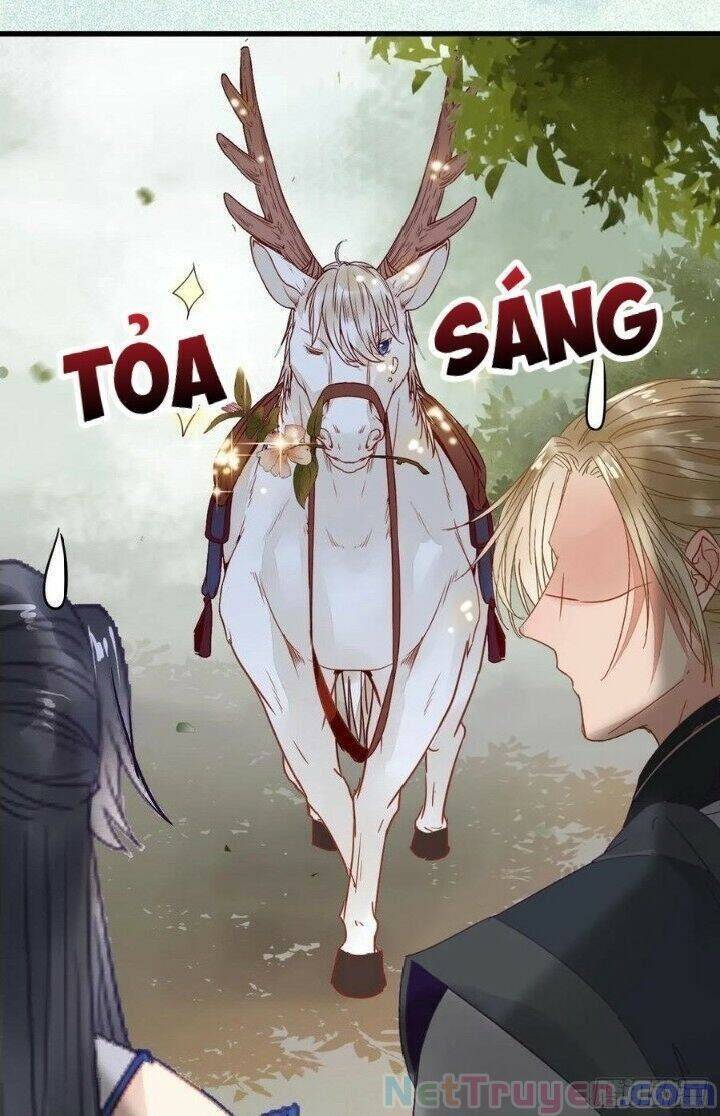 Tuyệt Sắc Quyến Rũ: Quỷ Y Chí Tôn: Chapter 266