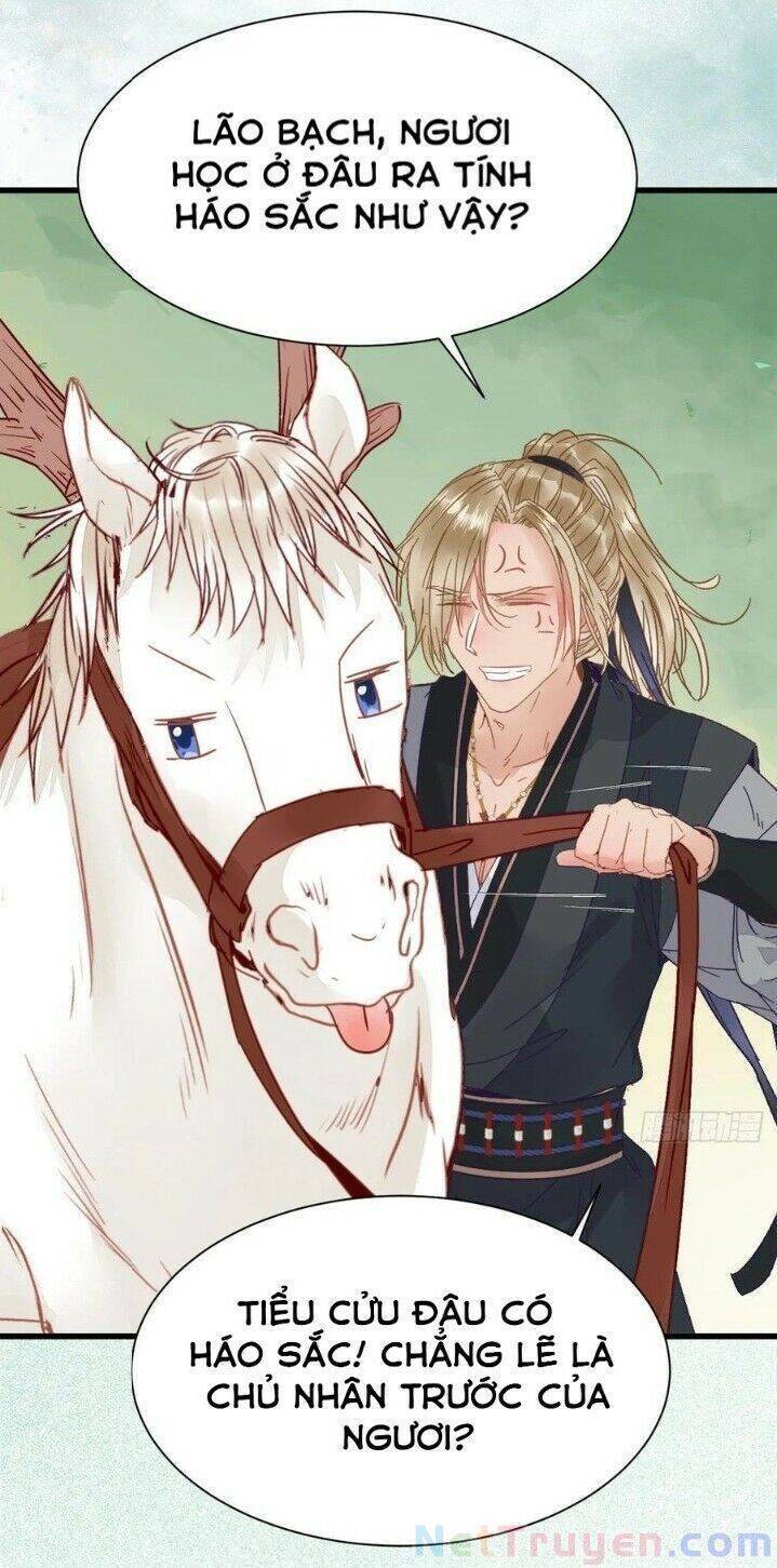 Tuyệt Sắc Quyến Rũ: Quỷ Y Chí Tôn: Chapter 267