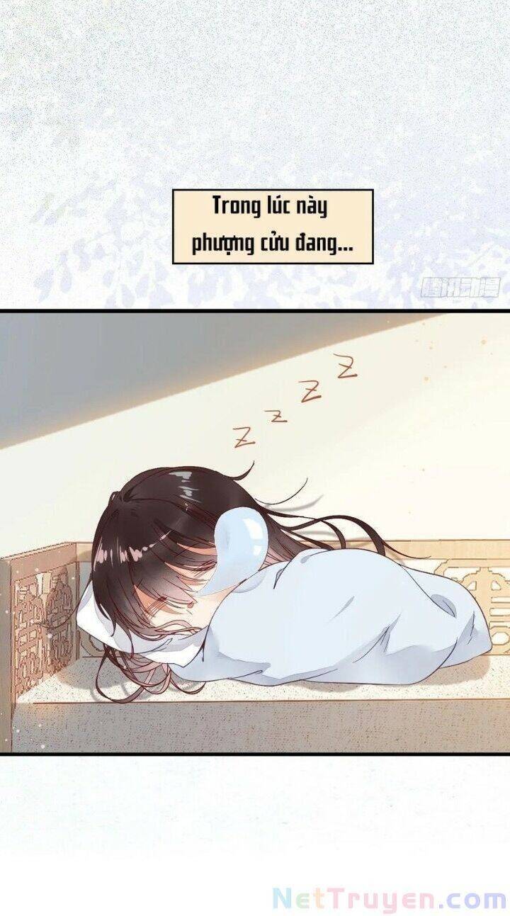 Tuyệt Sắc Quyến Rũ: Quỷ Y Chí Tôn: Chapter 267