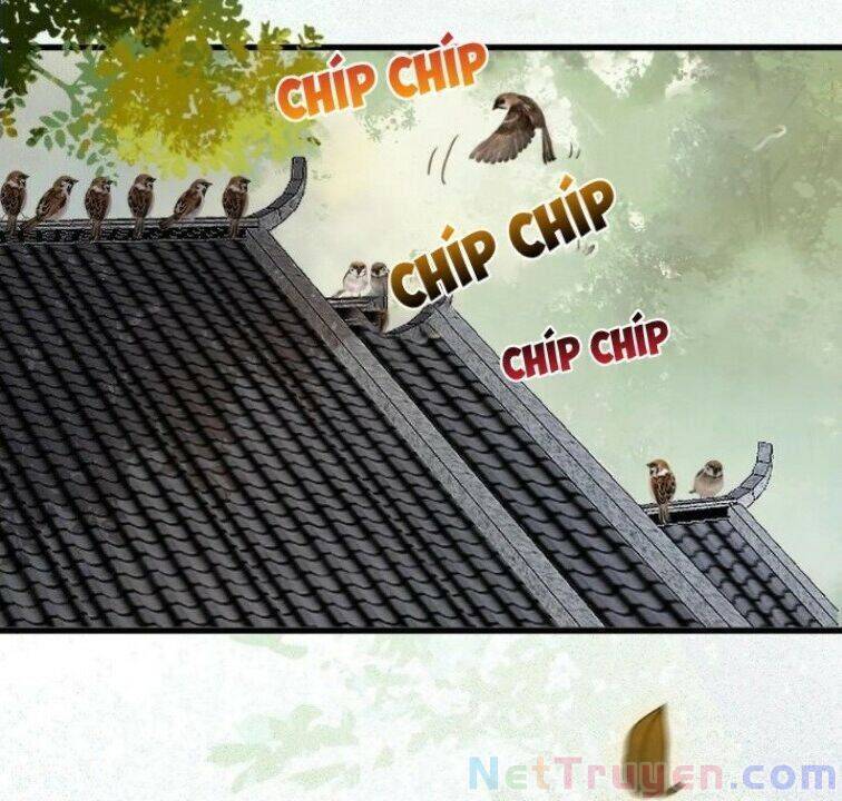 Tuyệt Sắc Quyến Rũ: Quỷ Y Chí Tôn: Chapter 267