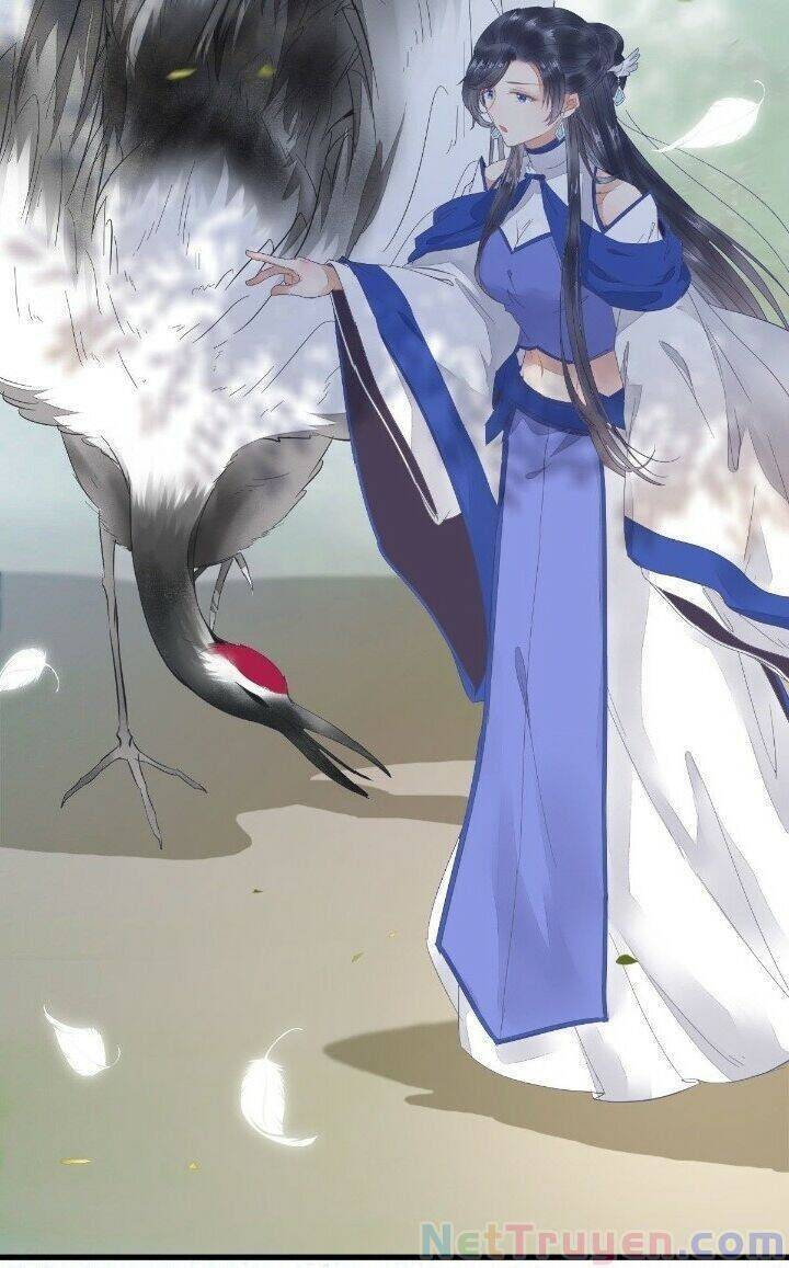 Tuyệt Sắc Quyến Rũ: Quỷ Y Chí Tôn: Chapter 268