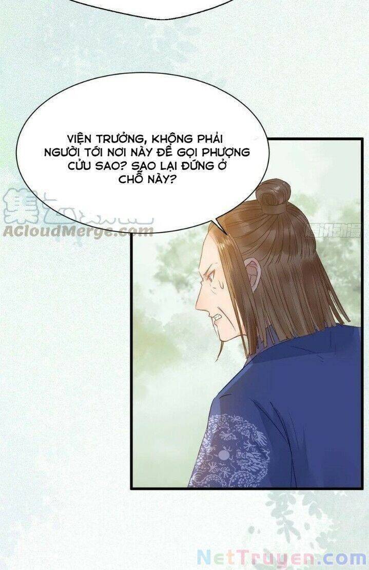 Tuyệt Sắc Quyến Rũ: Quỷ Y Chí Tôn: Chapter 269