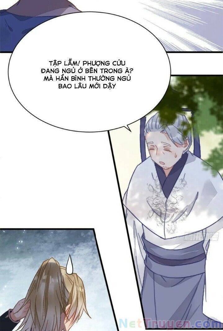 Tuyệt Sắc Quyến Rũ: Quỷ Y Chí Tôn: Chapter 269