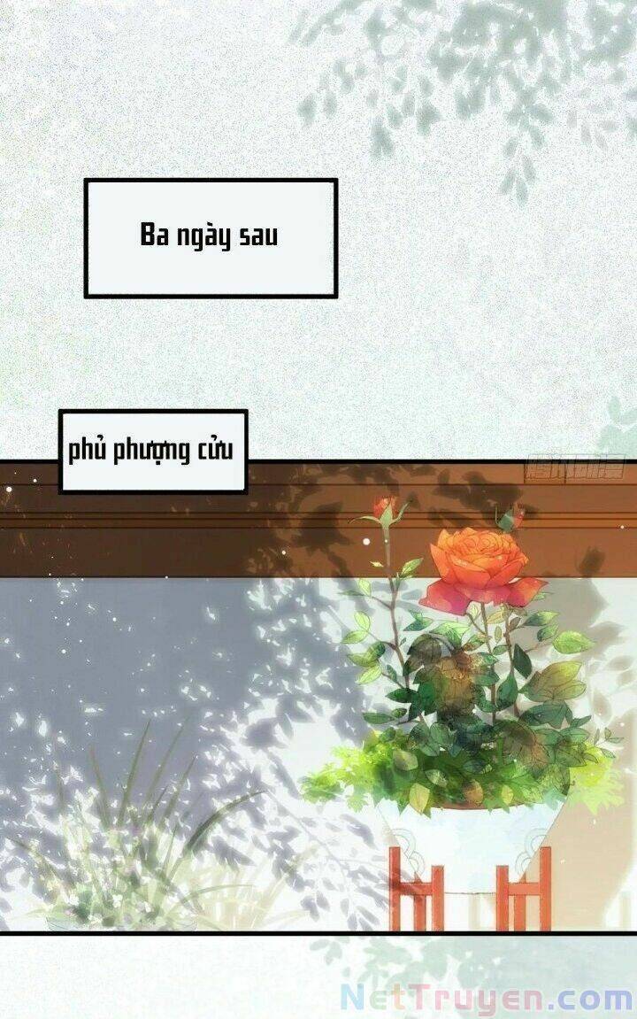 Tuyệt Sắc Quyến Rũ: Quỷ Y Chí Tôn: Chapter 271