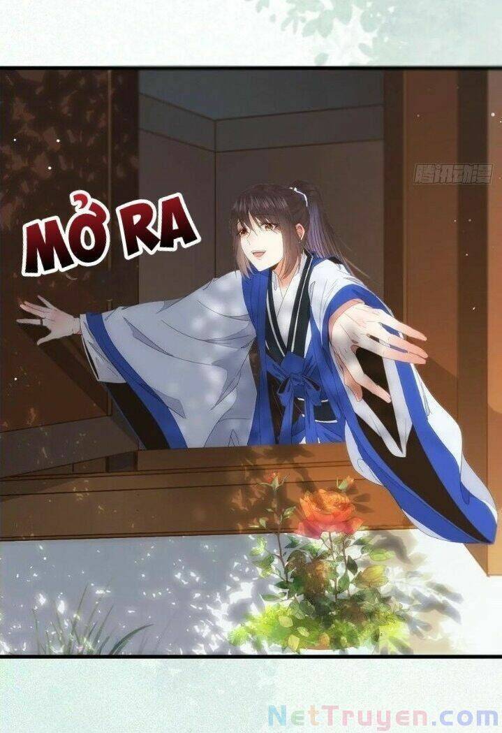 Tuyệt Sắc Quyến Rũ: Quỷ Y Chí Tôn: Chapter 271