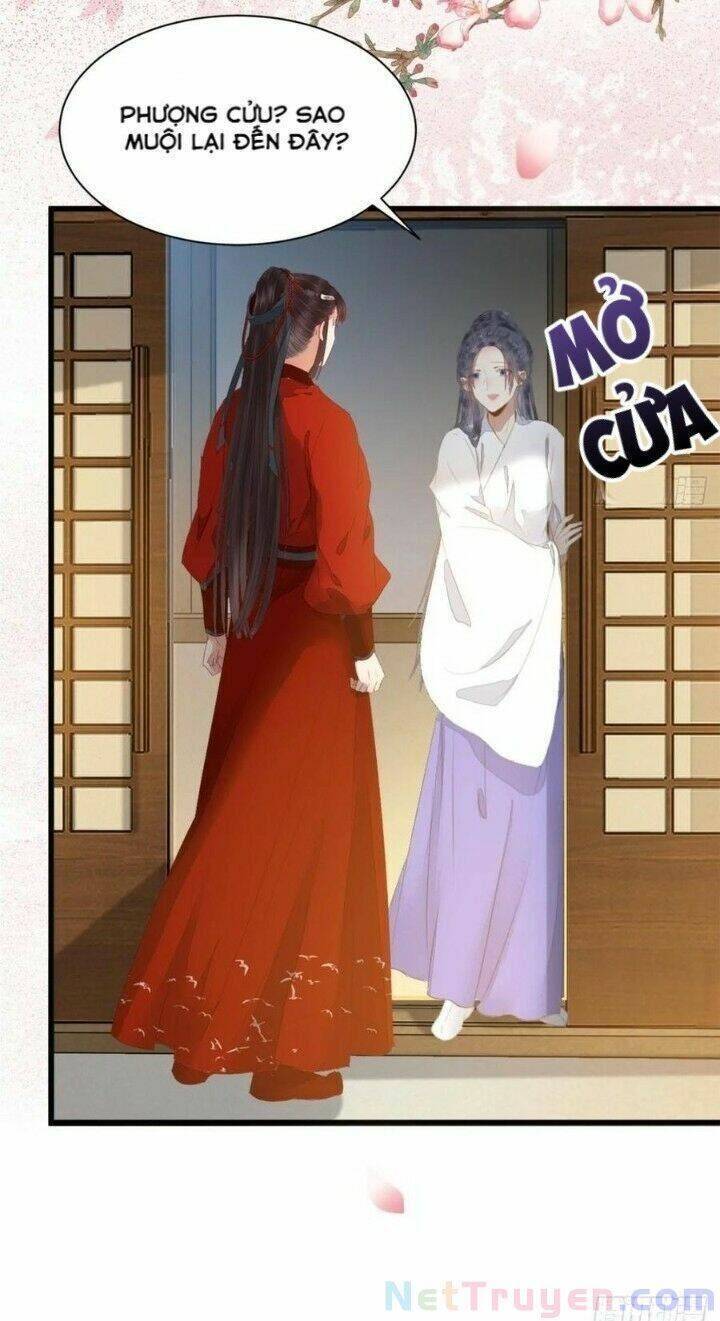 Tuyệt Sắc Quyến Rũ: Quỷ Y Chí Tôn: Chapter 273