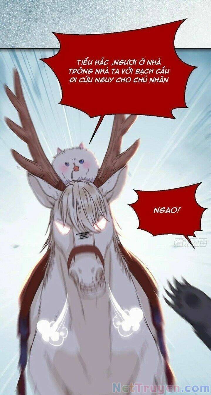 Tuyệt Sắc Quyến Rũ: Quỷ Y Chí Tôn: Chapter 276