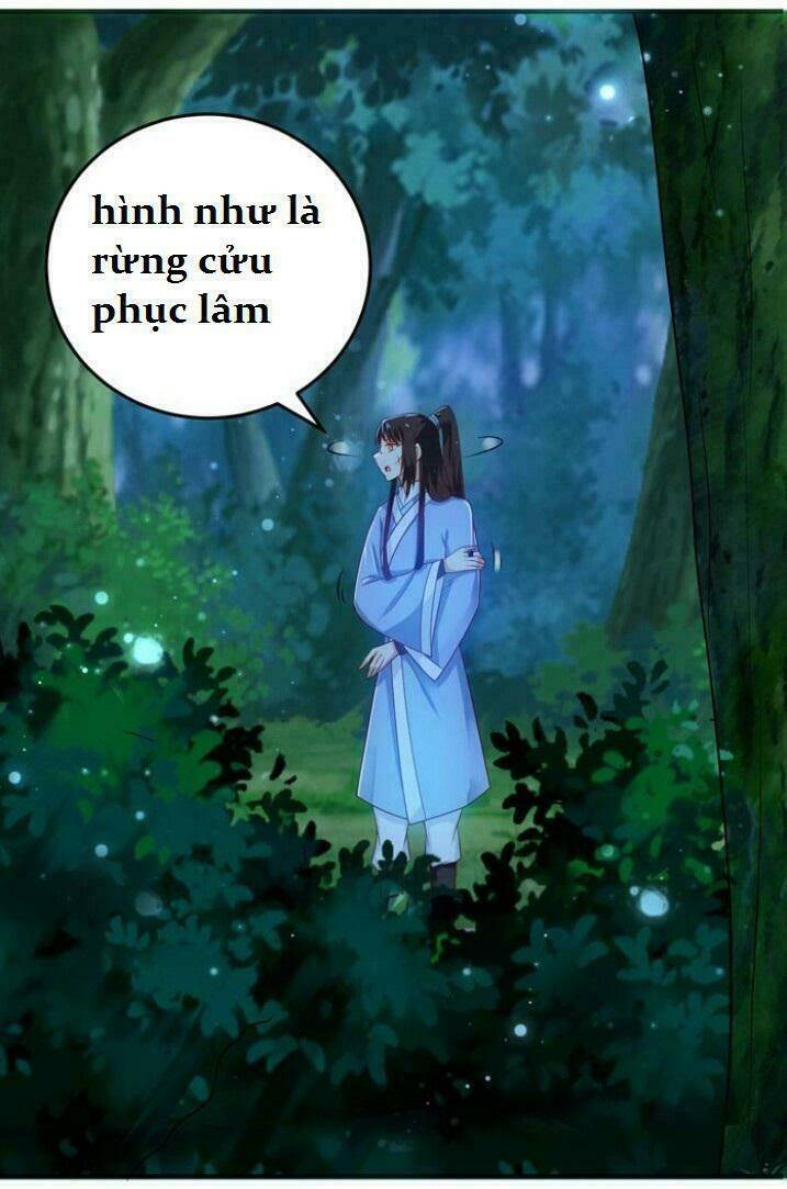 Tuyệt Sắc Quyến Rũ: Quỷ Y Chí Tôn: Chapter 28