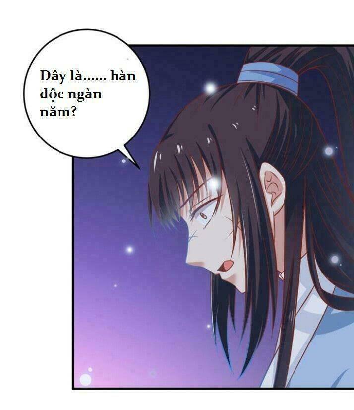 Tuyệt Sắc Quyến Rũ: Quỷ Y Chí Tôn: Chapter 28