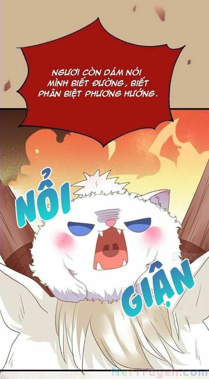 Tuyệt Sắc Quyến Rũ: Quỷ Y Chí Tôn: Chapter 280