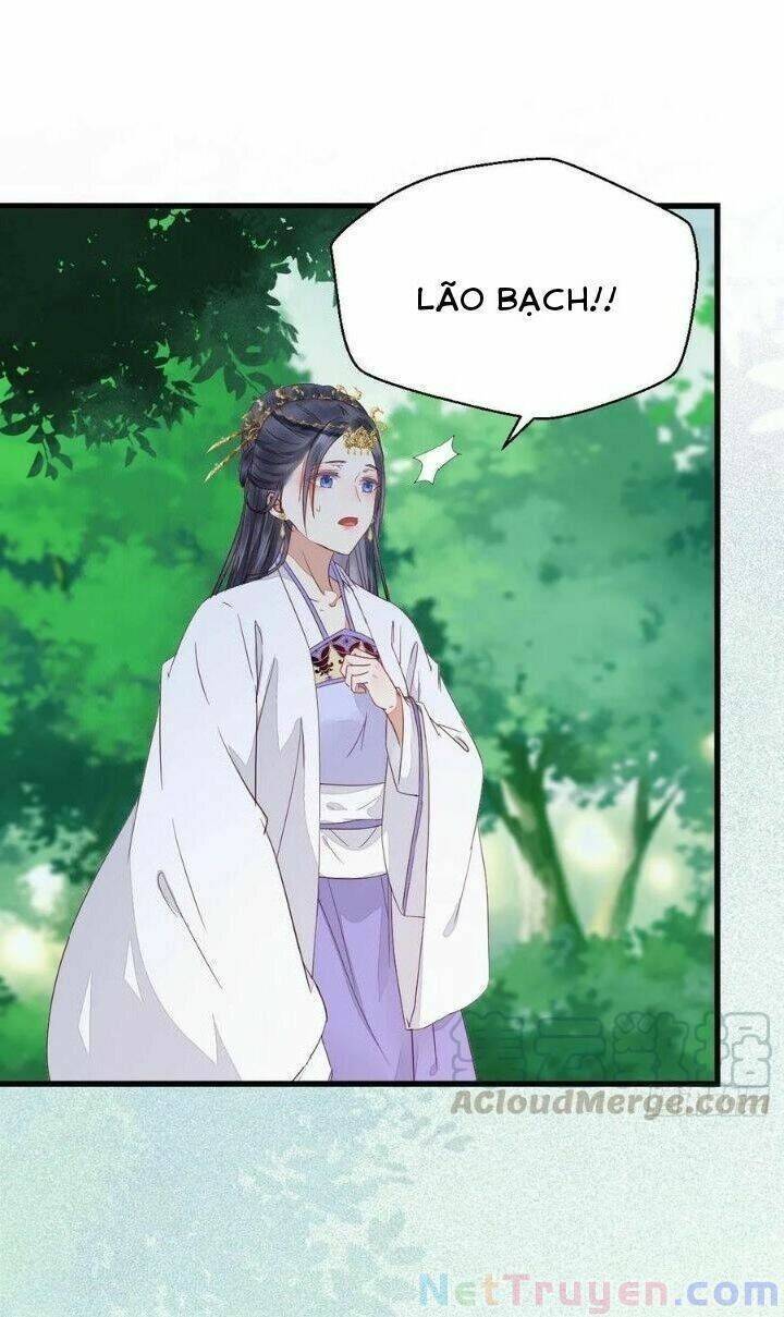 Tuyệt Sắc Quyến Rũ: Quỷ Y Chí Tôn: Chapter 280