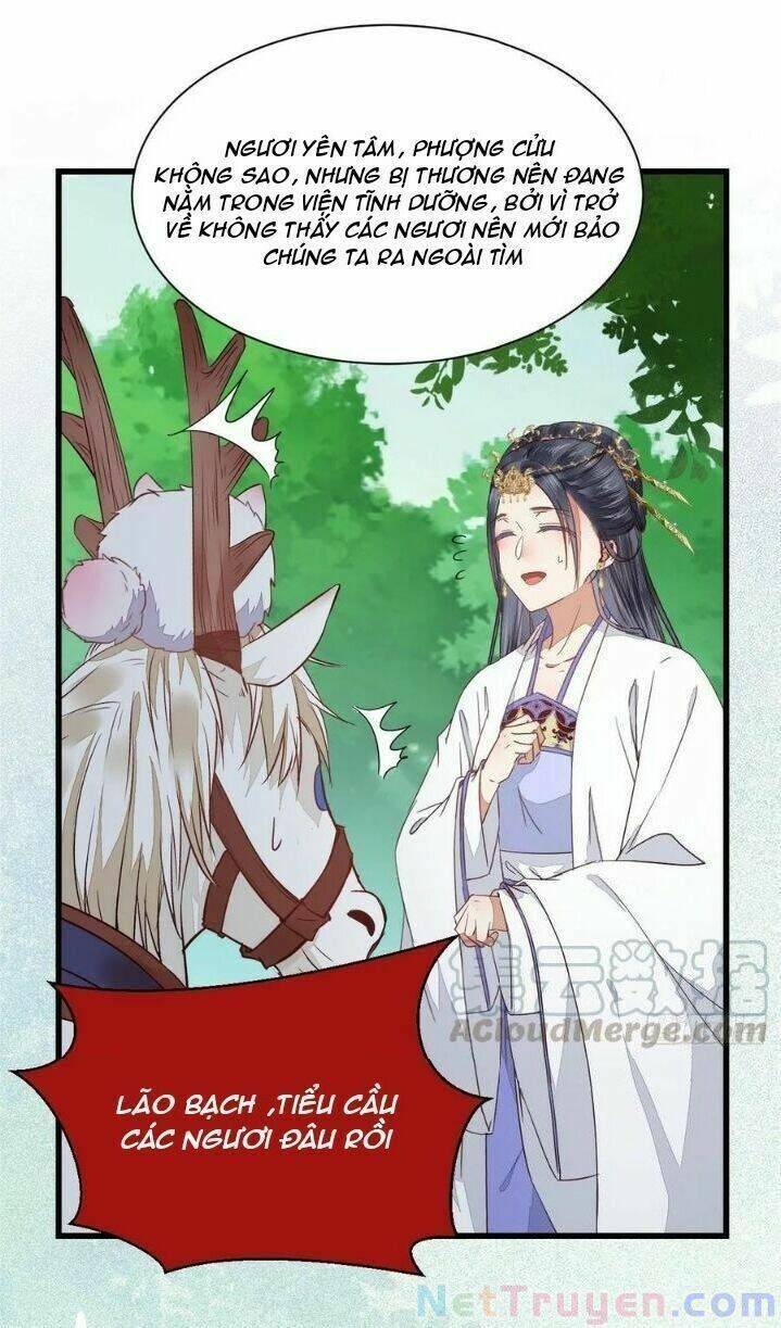 Tuyệt Sắc Quyến Rũ: Quỷ Y Chí Tôn: Chapter 280