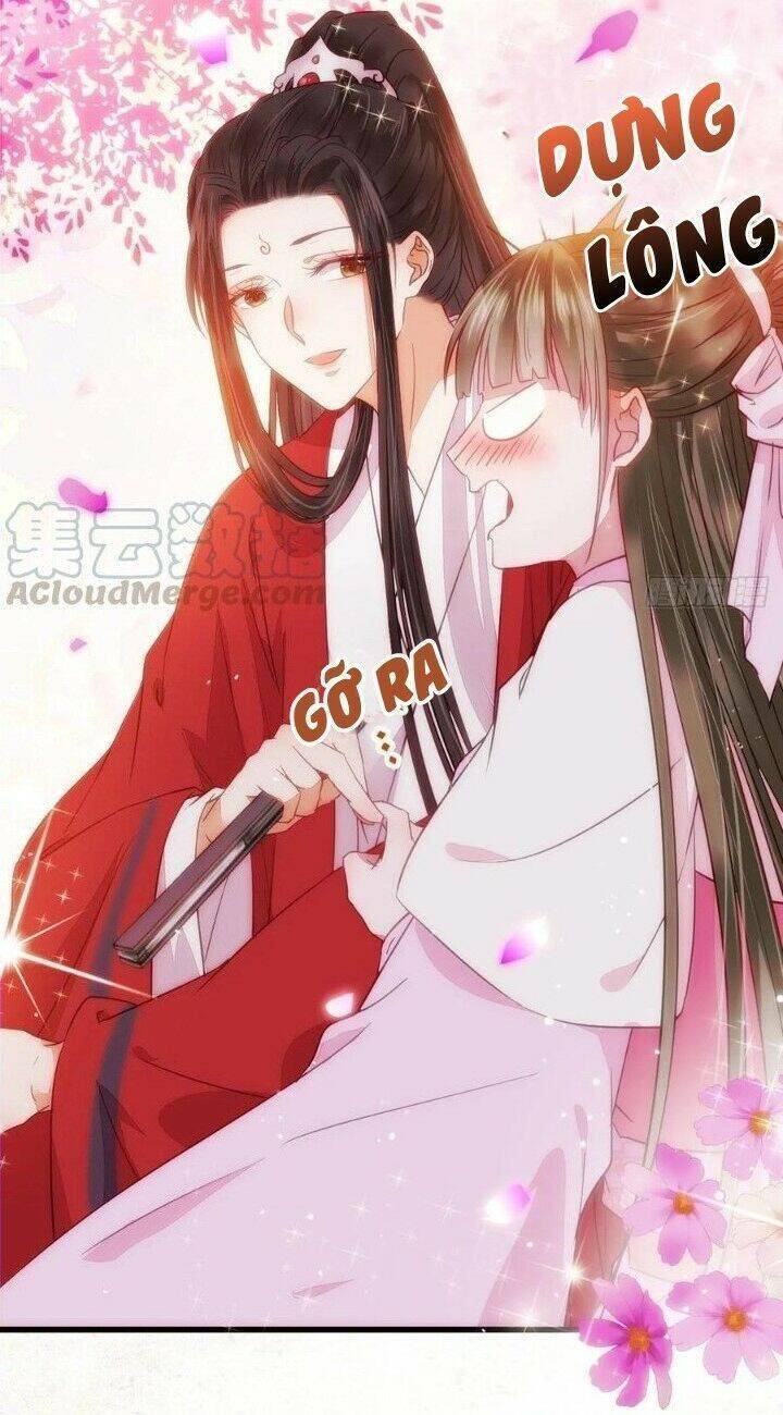 Tuyệt Sắc Quyến Rũ: Quỷ Y Chí Tôn: Chapter 282