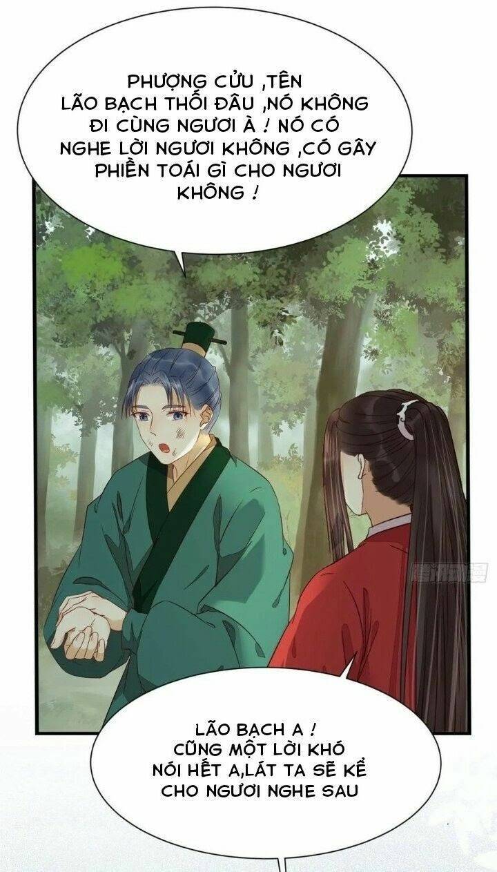 Tuyệt Sắc Quyến Rũ: Quỷ Y Chí Tôn: Chapter 284