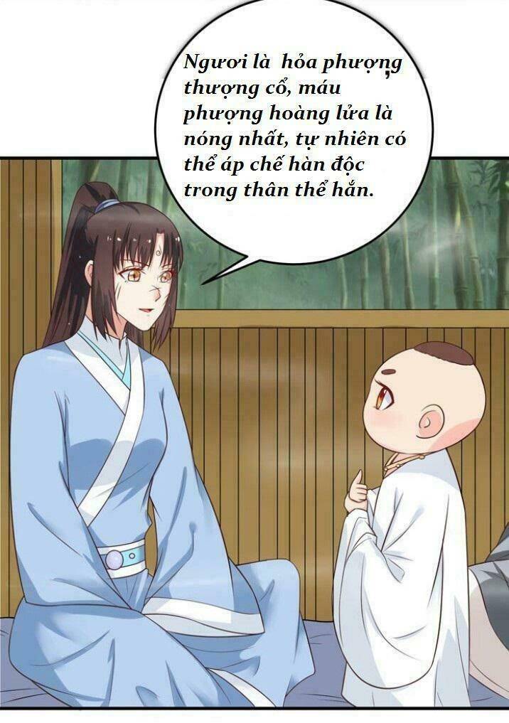 Tuyệt Sắc Quyến Rũ: Quỷ Y Chí Tôn: Chapter 29