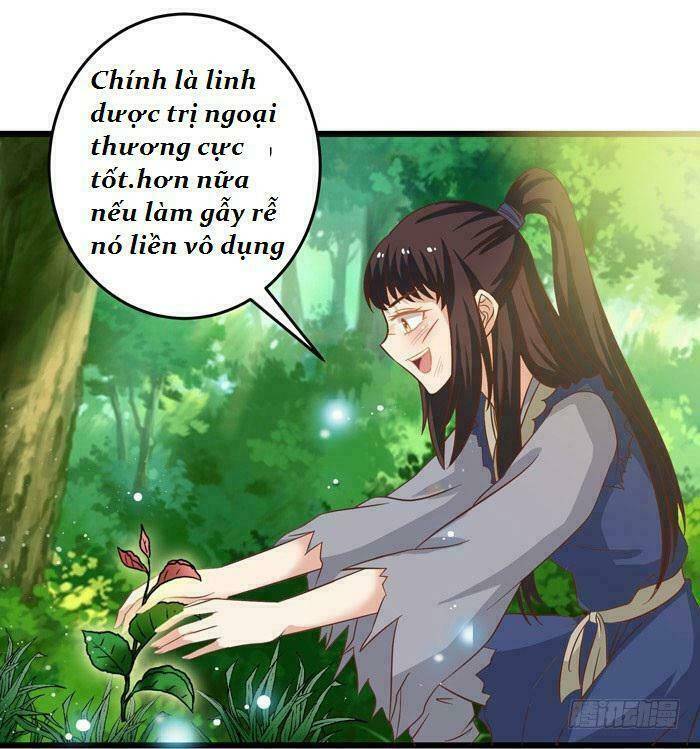 Tuyệt Sắc Quyến Rũ: Quỷ Y Chí Tôn: Chapter 3