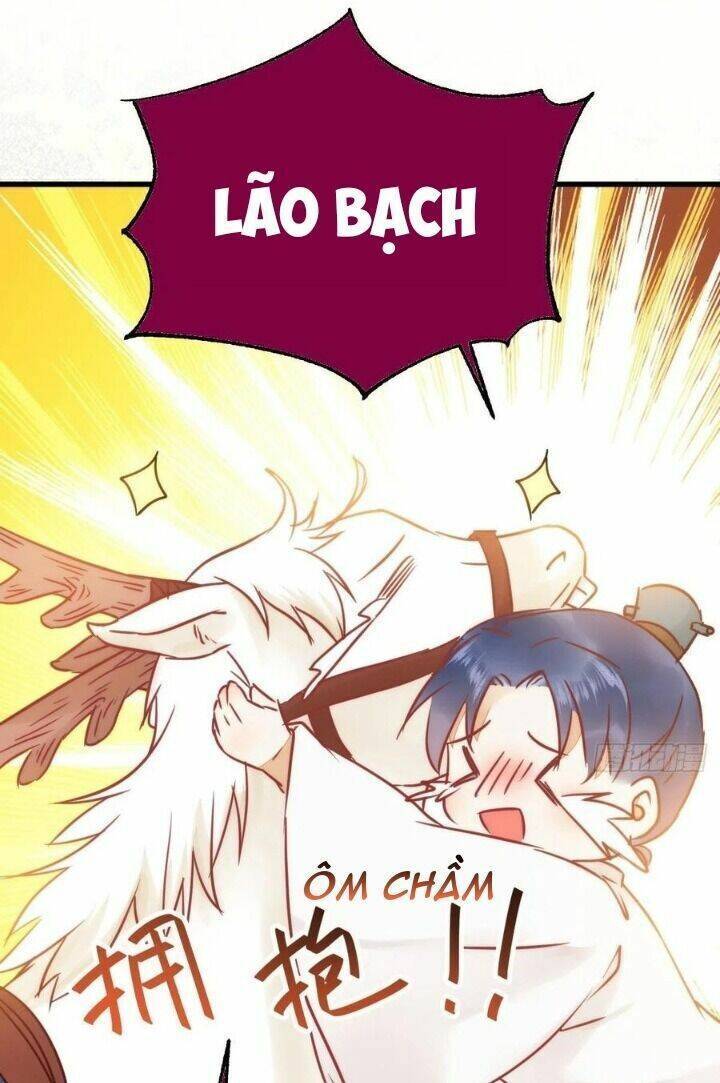 Tuyệt Sắc Quyến Rũ: Quỷ Y Chí Tôn: Chapter 310