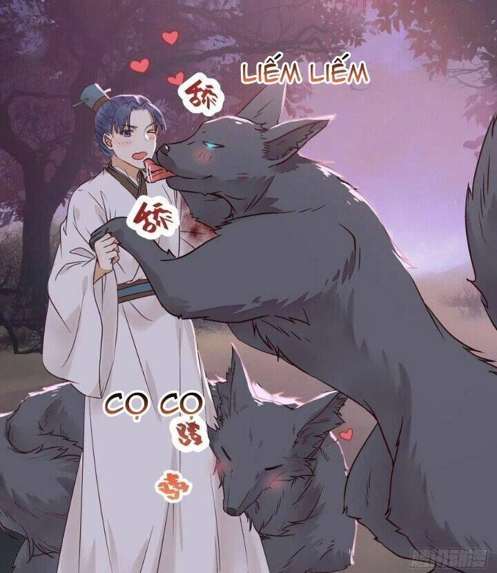 Tuyệt Sắc Quyến Rũ: Quỷ Y Chí Tôn: Chapter 312