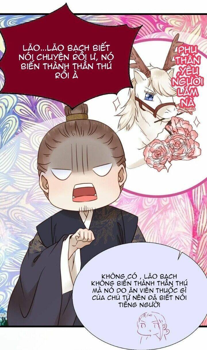 Tuyệt Sắc Quyến Rũ: Quỷ Y Chí Tôn: Chapter 314