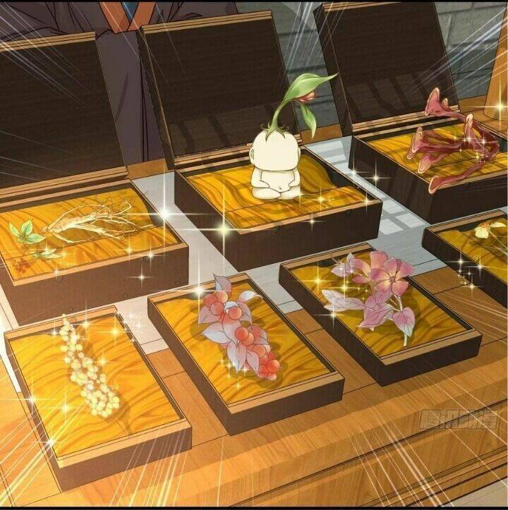 Tuyệt Sắc Quyến Rũ: Quỷ Y Chí Tôn: Chapter 325