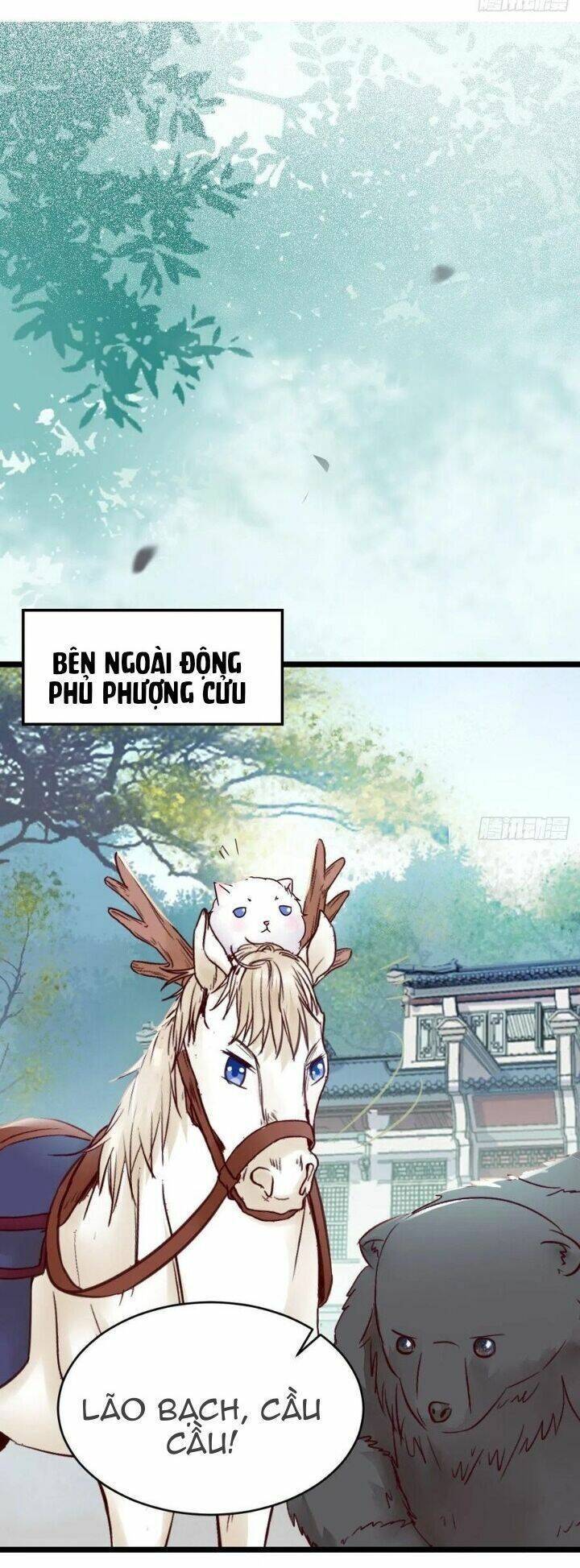 Tuyệt Sắc Quyến Rũ: Quỷ Y Chí Tôn: Chapter 340